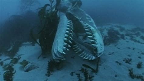 how nature documentaries are fake